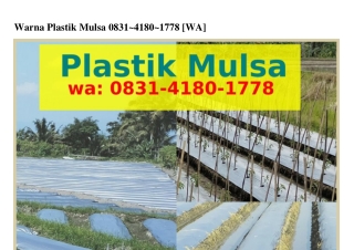 Warna Plastik Mulsa O8ᣮl_4l8O_lᜪᜪ8{WhatsApp}