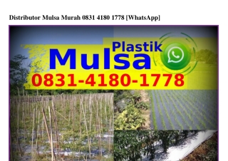 Distributor Mulsa Murah Ö8З1–Կ18Ö–1778{WA}