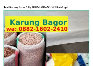 Jual Karung Beras 5 Kg O88ᒿ_lᏮOᒿ_ᒿԿlO[WhatsApp]