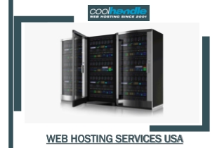 Web Hosting Services USA