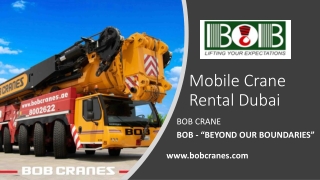 Mobile Crane Rental Dubai​