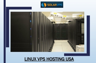 Linux VPS Hosting USA