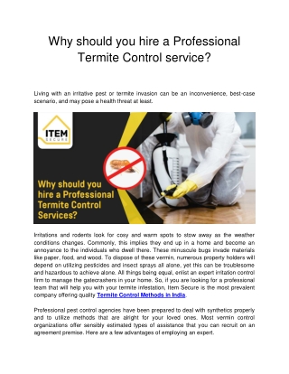 Why should you hire a Professional Termite Control service?