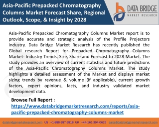 Asia-Pacific Prepacked Chromatography Columns Market Forecast Share, Regional Outlook, Scope, & Insight by 2028