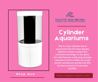 Buy High-Quality Cylinder Aquariums in Louisiana