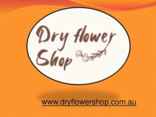 Preserved Flower Wholesale Supplier in Sydney - Dry Flower Shop