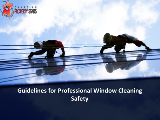 Guidelines for Professional Window Cleaning Safety