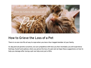 How To Grieve The Loss of a Pet