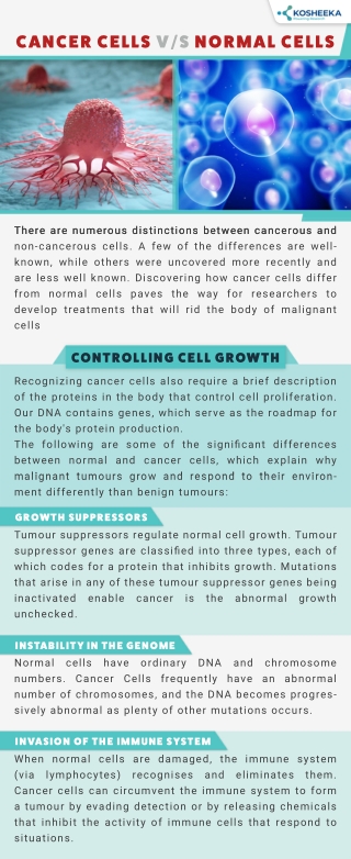 Cancer Cells VS Normal Cells