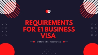 What are the Requirements for E1 Business Visa? | Startup Business Bureau