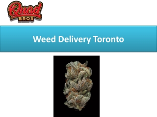 Weed Delivery Toronto