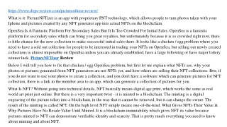 PictureNFTizer Review
