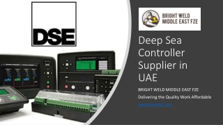 Deep Sea Controller Supplier in UAE