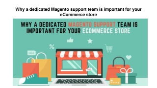 Why a dedicated Magento support team is important for your eCommerce store