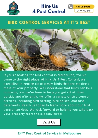 Bird Control Services At It’s Best