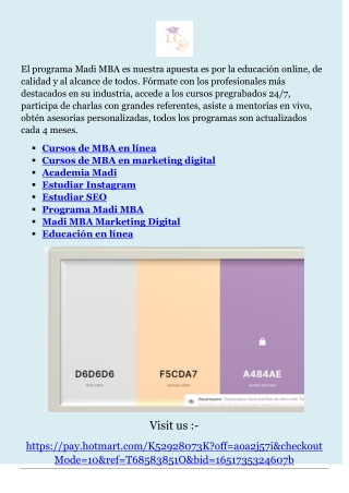 Programa Madi MBA