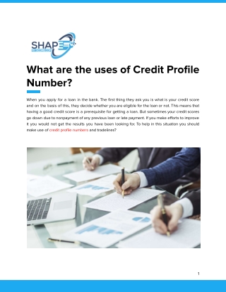 What are the uses of Credit Profile Number?