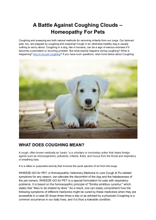 A Battle Against Coughing Clouds – Homeopathy For Pets
