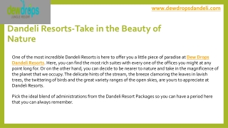 Dandeli Resorts | Resorts in Dandeli | Best Resorts in Dandeli