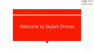 Drones for Aerial Surveys