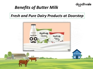Best Dairy Products Delivery Services in Delhi NCR