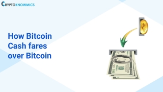 How Bitcoin Cash fares over Bitcoin
