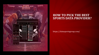 How to Pick the Best Sports Data Provider