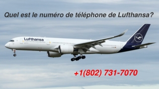 Quel est le numéro de téléphone de Lufthansa_  1 802 731 7070