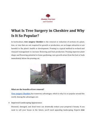What Is Tree Surgery in Cheshire and Why Is It So Popular?