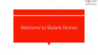 drones for aerial surveys