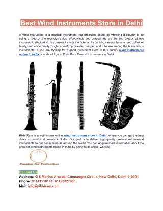 Best Wind Instruments Store in Delhi