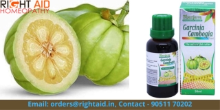 Information about Bhargava Garcinia Cambogia Drop