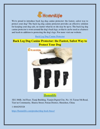Back Leg Dog Canine Protector: the Fastest, Safest Way to Protect Your Dog