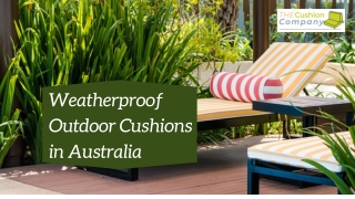 Weatherproof Outdoor Cushions in Australia