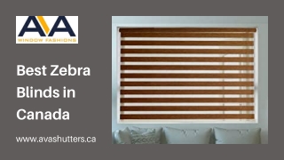 Best Zebra Blinds in Canada