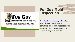 FunGuy Mold Inspection