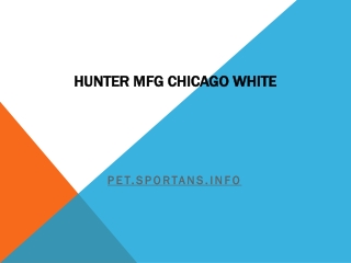 Hunter MFG Chicago White