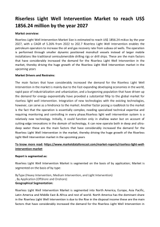 Riserless Light Well Intervention Market