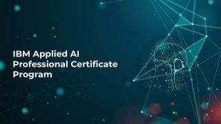 IBM Artificial Intelligence Professional Certificate Program