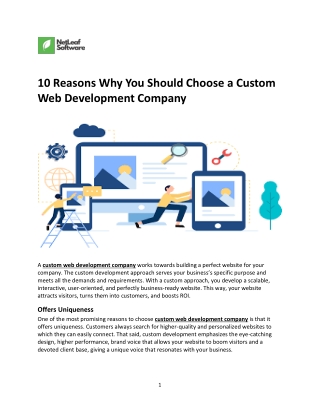 10 Reasons Why You Should Choose a Custom Web Development Company-converted