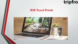 B2B Travel Portal