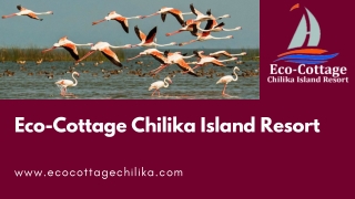 Eco-Cottage Chilika Island Resort | Book Today