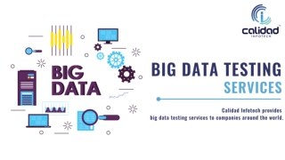 Big Data Software Testing | Big Data Testing Services India | Calidad Infotech