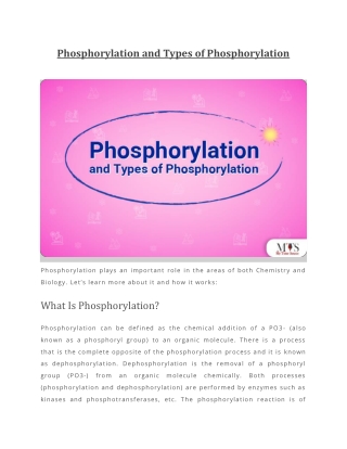 Phosphorylation and Types of Phosphorylation
