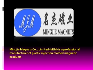 Find Best Injection Molded Ferrite Magnets