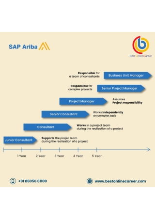 sap ariba career path