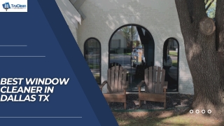 Best Window Cleaner Professionals in Dallas Tx