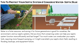 Tips To Protect Your Septic System & Conserve Water- Septic Blue