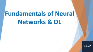 Fundamentals of Neural Networks & DL