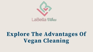 Explore The Advantages Of Vegan Cleaning